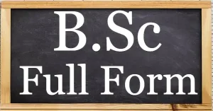 BSC Full Form Hindi